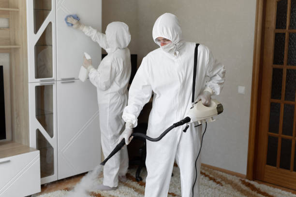 24/7 Emergency Odor Removal experts in Volcano, HI