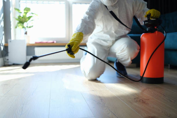 Reliable Odor Removal contractor in Volcano, HI by Crime Scene Cleaner Online